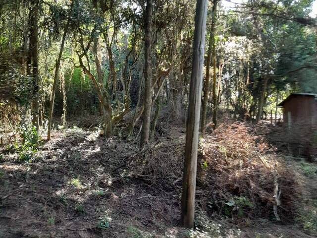 Terreno em condomínio para Venda em Viamão - 5