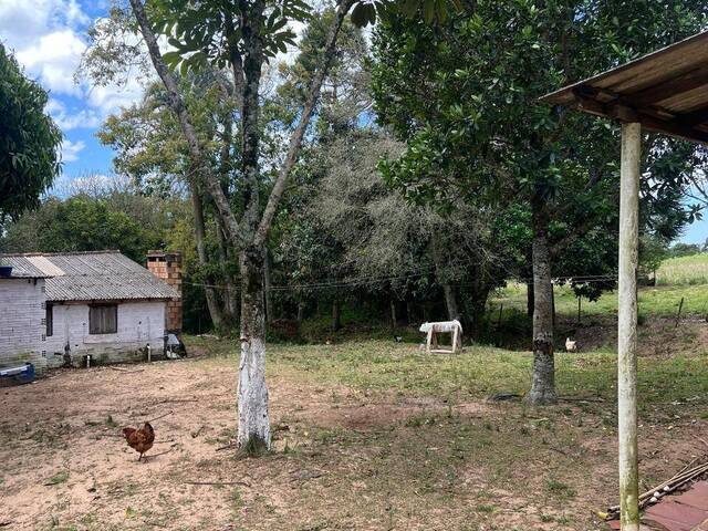 #1330 - Chácara para Venda em Viamão - RS - 3