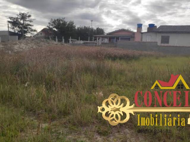 #879 - Terreno para Venda em Palmares do Sul - RS - 2